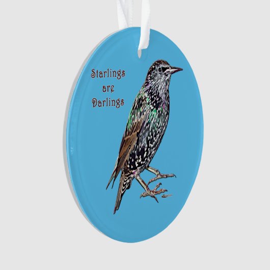 Snippers zijn donkerbroeken ornament (voorkant)