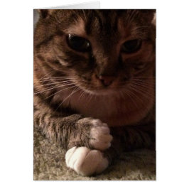 Snoeiende tas, kaart