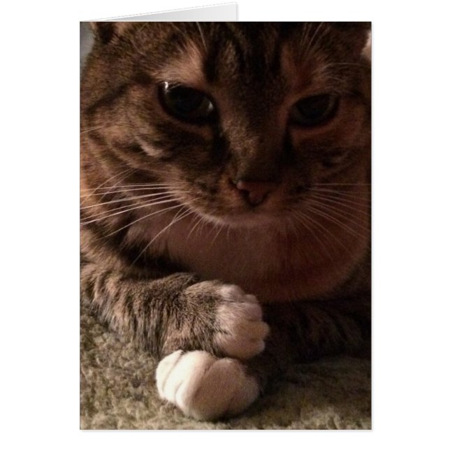 Snoeiende tas, kaart (Voorkant)