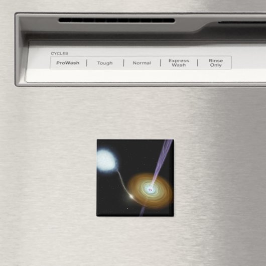 Snoeiers van materiaal magneet (Insitu (Vaatwasser))