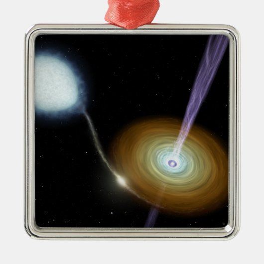 Snoeiers van materiaal metalen ornament (Voorkant)