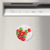 SNOEP 2 MAGNEET (Insitu (Vaatwasser))