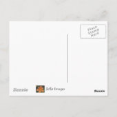 SNOEP - BRIEFKAART (Achterkant)