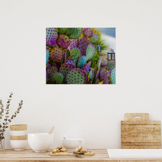 Snoep Cactus Poster (Keuken)