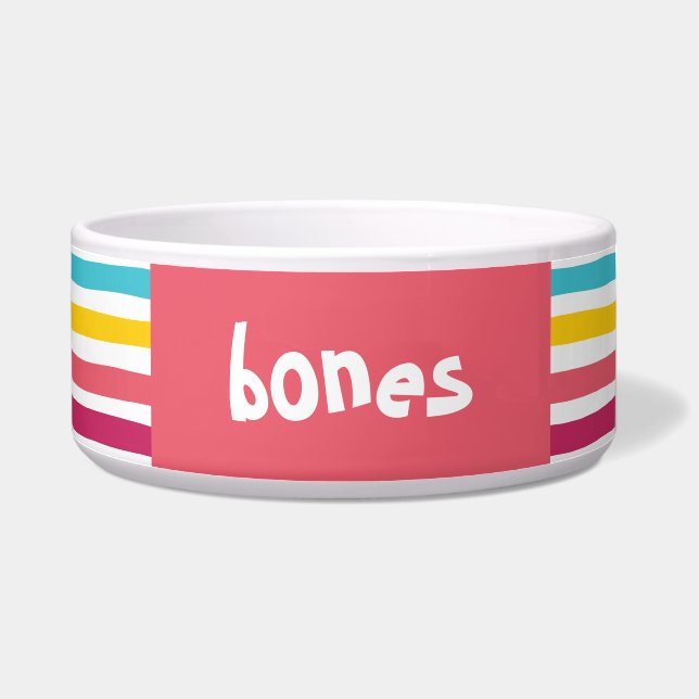 Snoep gestreept! Leuke kleurrijke Pet Bowl Voerbakje (Rechts)