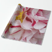 Snoep gestripte Camellia-overlooppapier Cadeaupapier (Uitgerold)