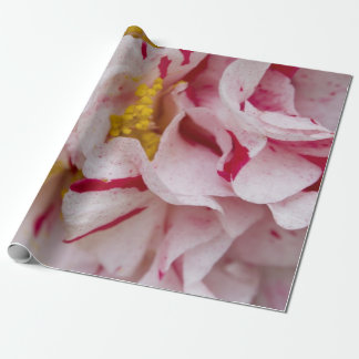 Snoep gestripte Camellia-overlooppapier Cadeaupapier