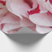 Snoep gestripte Camellia-overlooppapier Cadeaupapier (Hoek)