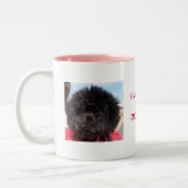 Snoep Ginger Snap, IK HOU VAN MYDOOO Tweekleurige Koffiemok (Links)