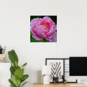 " SNOEP PINK PEONY" (FOTO) POSTER (Thuiskantoor)