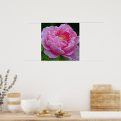 " SNOEP PINK PEONY" (FOTO) POSTER (Keuken)