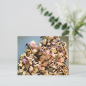 Snoep Popcorn Briefkaart (Staand voorkant)