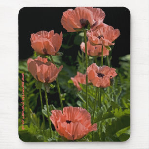 Snoep Poppen Mousemat Muismat