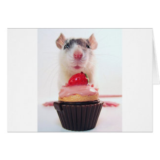 Snoep Rat