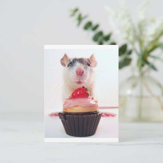 Snoep Rat Briefkaart (Staand voorkant)