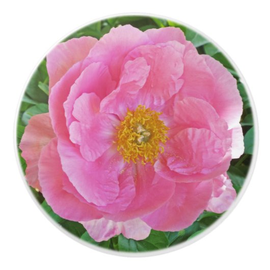 SNOEP-ROZE PIOEN KERAMISCHE KNOP (Voorkant)