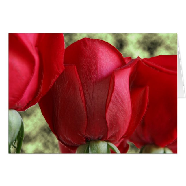 snoep rozen (Voorkant Horizontaal)