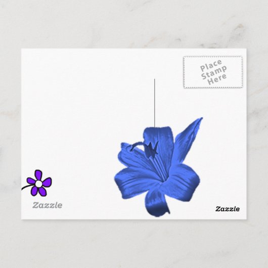 Snoep snoepjes lolly sucker snack traite yummy briefkaart (Achterkant)