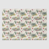 Snoep, Speelgoed, Bloemen & Fruit Tissuepapier (Voorkant)