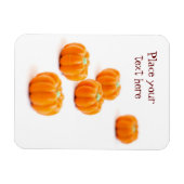 Snoep van de pompoen magneet (Horizontaal)