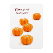 Snoep van de pompoen magneet (Verticaal)