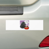 Snoep van Newfoundland (BLK) Halloween Bumpersticker (Op auto)
