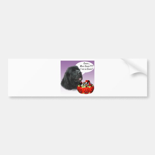 Snoep van Newfoundland (BLK) Halloween Bumpersticker (Voorkant)