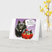 Snoep van Schipperke Halloween Kaart (Gele Bloem)