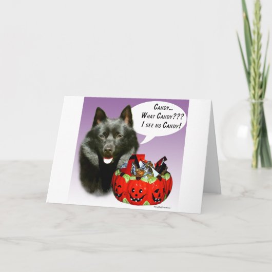 Snoep van Schipperke Halloween Kaart (Voorkant)