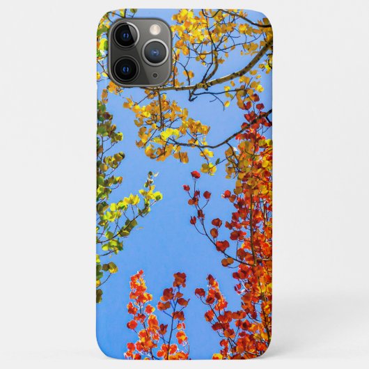 Snoep voor schermkleuren // lederen Herfst kleuren Case-Mate iPhone Case (Achterkant)