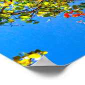 Snoep voor schermkleuren // lederen Herfst kleuren Poster (Hoek)