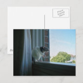 Snoepend tarief briefkaart (Voorkant / Achterkant)