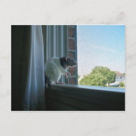 Snoepend tarief briefkaart