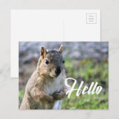 snoepgoed voor eekhoorn - hallo/hi/groet briefkaart (Voorkant / Achterkant)