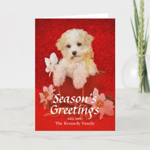 Snoepje weinig het puppyzitting van Kerstmis in Feestdagen Kaart