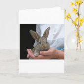 snoepje weinig konijn kaart (Gele Bloem)