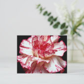 Snoepjes snijbloemen briefkaart (Staand voorkant)