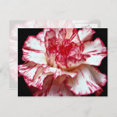 Snoepjes snijbloemen briefkaart (Voorkant / Achterkant)