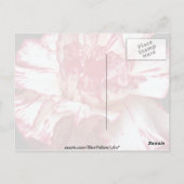 Snoepjes snijbloemen briefkaart (Achterkant)