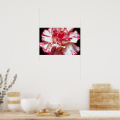 Snoepjes snijbloemen poster (Keuken)