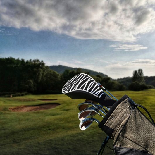 Snoeren van Asphalt Golfheadcover