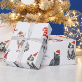 Snoeste kerstkatten met kerstmantel cadeaupapier