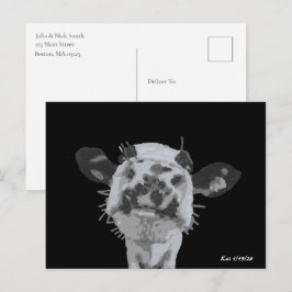 Snoet Boop, Dier Briefkaart