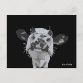 Snoet Boop, Dier Briefkaart (Voorkant)