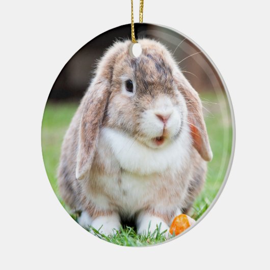 Snoezelkonijn Keramisch Ornament (Links)