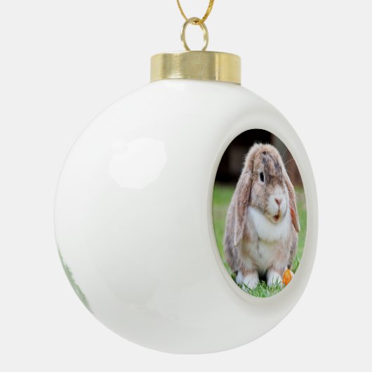 Snoezelkonijn Keramische Bal Ornament (Links)