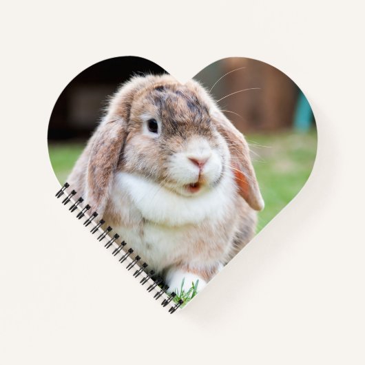 Snoezelkonijn Notitieboek (Voorkant)