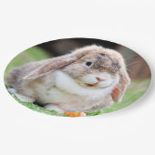 Snoezelkonijn Papieren Bordje (Gekanteld)