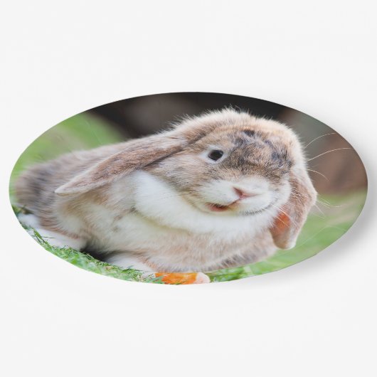 Snoezelkonijn Papieren Bordje (Gekanteld)