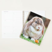 Snoezelkonijn Planner (Display)